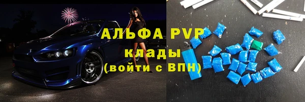 СК Новодвинск