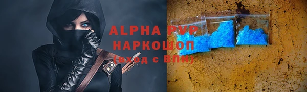 СК Новодвинск
