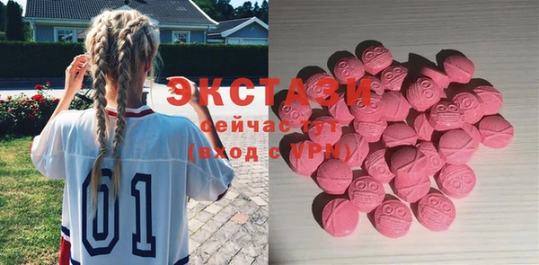 СК Новодвинск