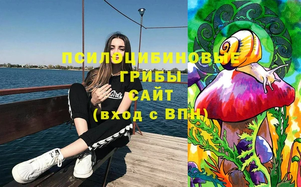 амфетамин Новозыбков