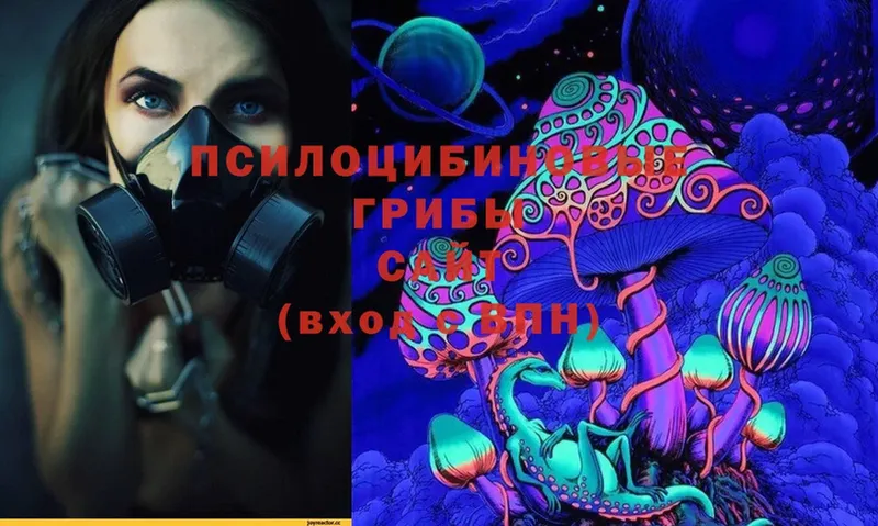 Псилоцибиновые грибы MAGIC MUSHROOMS  Лесозаводск 