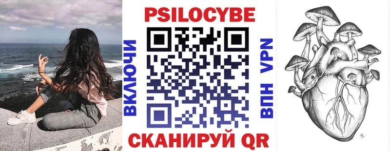 Псилоцибиновые грибы Psilocybe  Лесозаводск 
