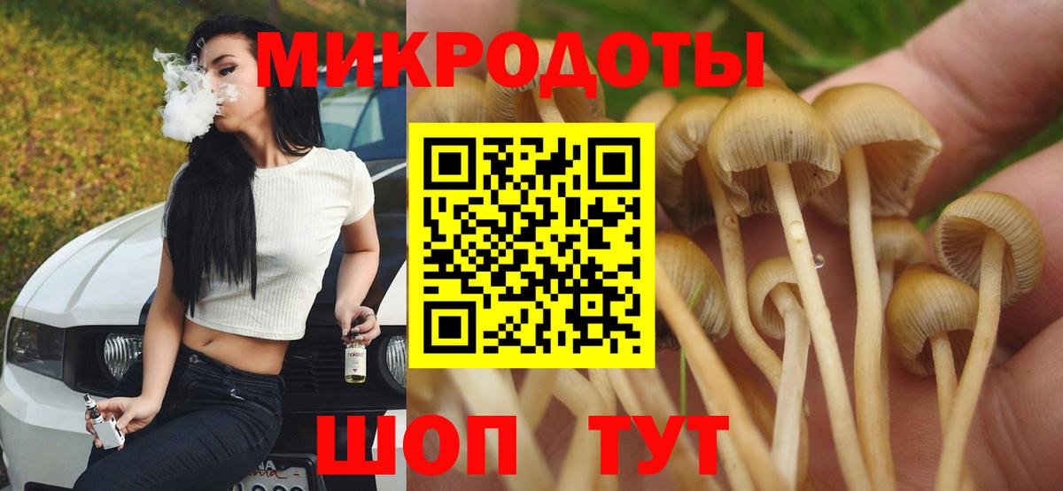 как найти   Вход с VPN  Лесозаводск  Псилоцибиновые грибы GOLDEN TEACHER 