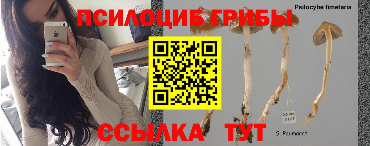 Галлюциногенные грибы мухоморы Лесозаводск