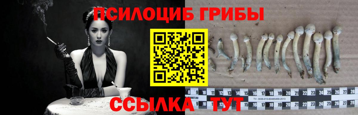 Псилоцибиновые грибы ЛСД Лесозаводск